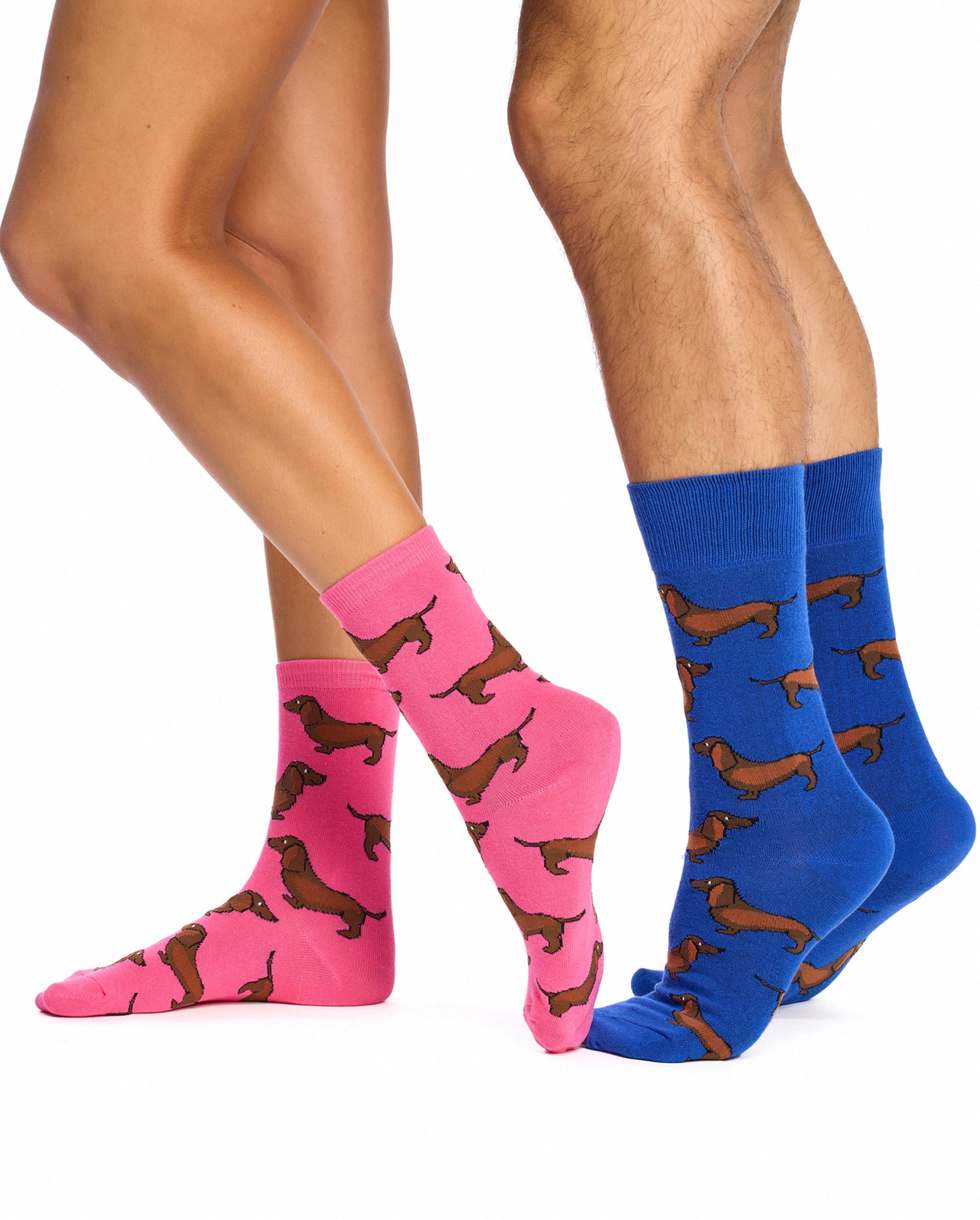 Men's & Women's Matching Pairs of Cotton Rich Crew Socks - Sausage Dog (Dachshund) Gift Box