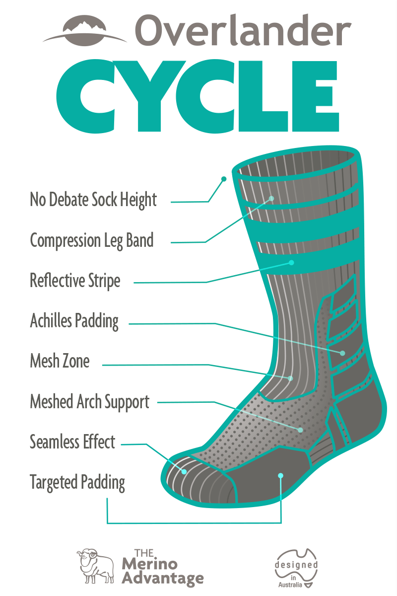 Merino Cycle