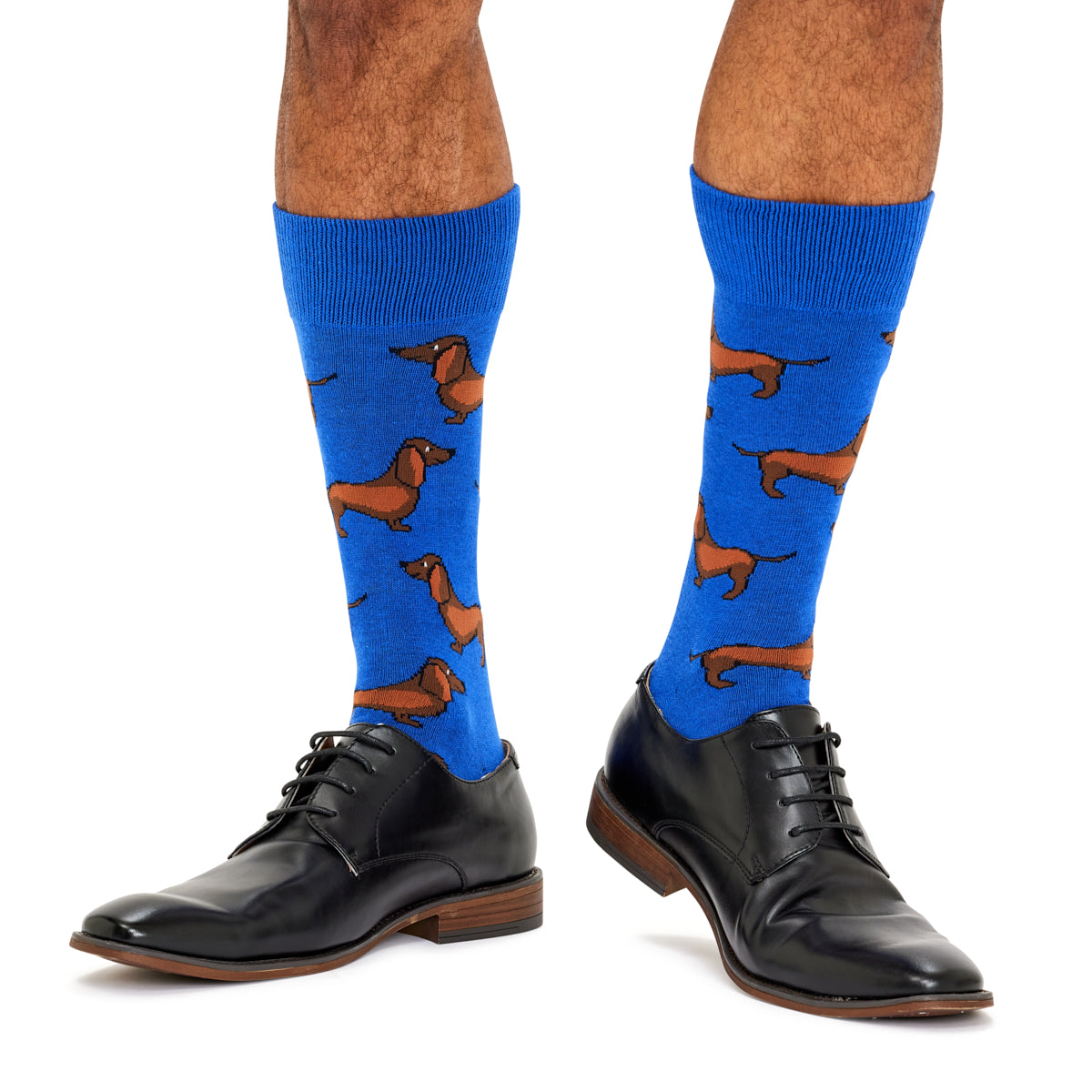 Sausage Dog Socks- Cobalt