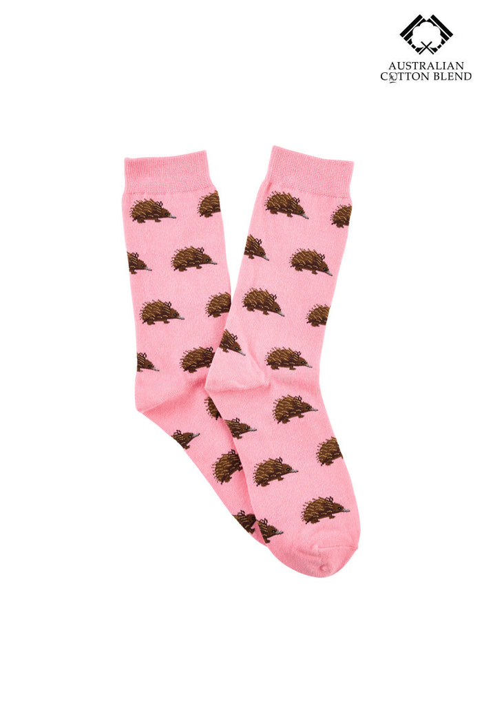 Australian Cotton Socks - Echidna
