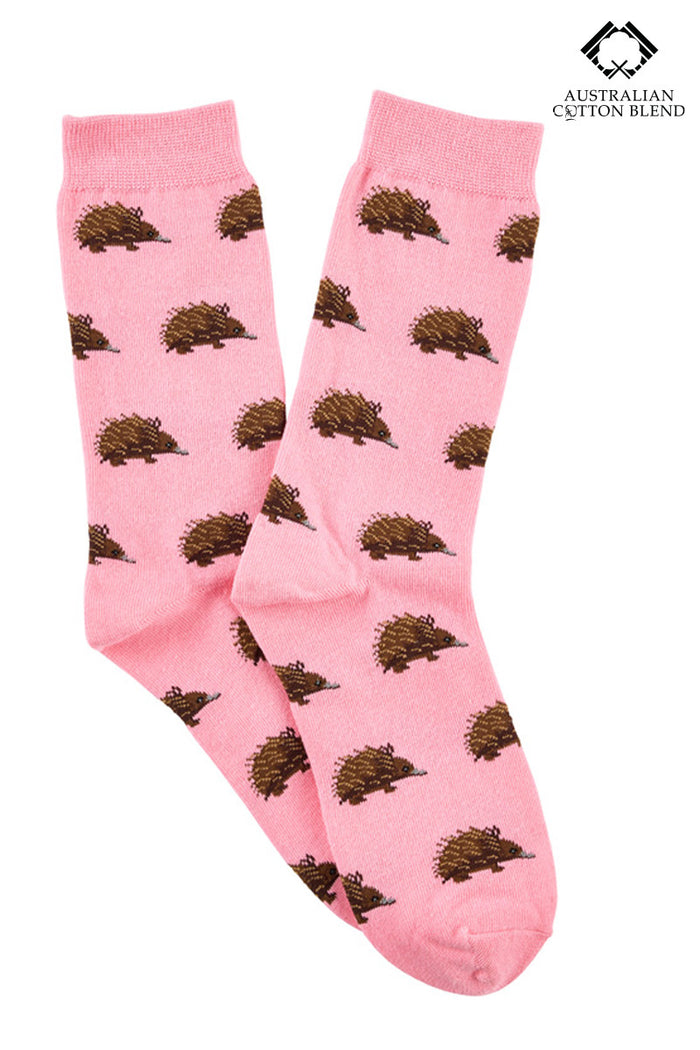 Australian Cotton Socks - Echidna